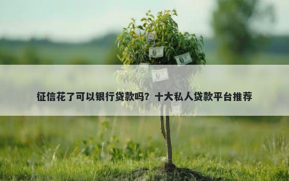 征信花了可以银行贷款吗？十大私人贷款平台推荐