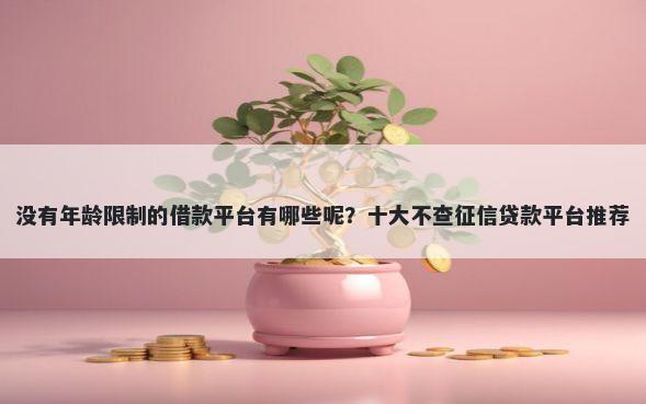 没有年龄限制的借款平台有哪些呢?十大不查征信贷款平台推荐