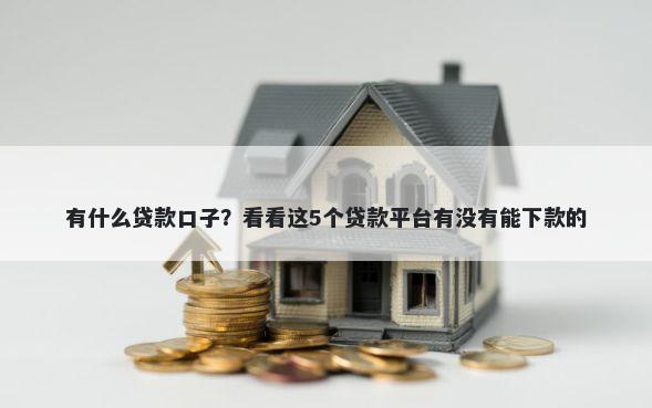 有什么贷款口子？看看这5个贷款平台有没有能下款的