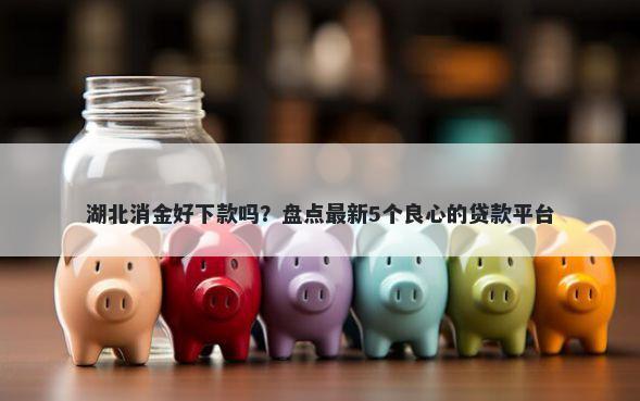 湖北消金好下款吗？盘点最新5个良心的贷款平台