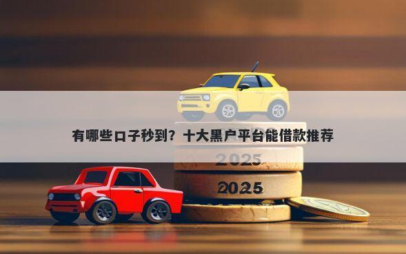 有哪些口子秒到？十大黑户平台能借款推荐