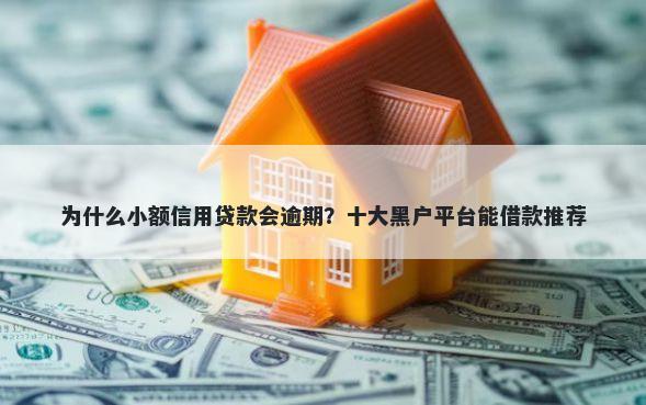为什么小额信用贷款会逾期？十大黑户平台能借款推荐