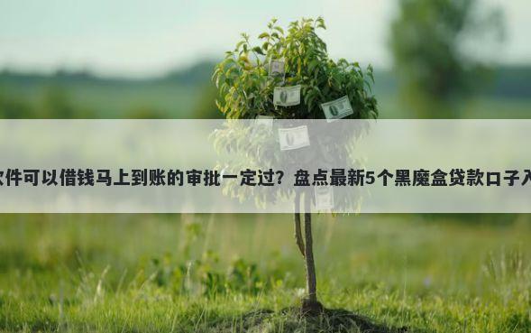 有什么软件可以借钱马上到账的审批一定过？盘点最新5个黑魔盒贷款口子入口2025