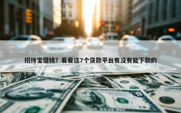 招待宝借钱？看看这7个贷款平台有没有能下款的