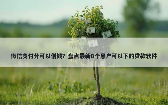微信支付分可以借钱？盘点最新8个黑户可以下的贷款软件