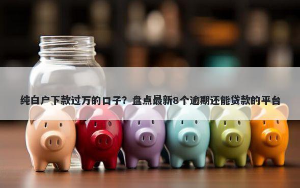 纯白户下款过万的口子？盘点最新8个逾期还能贷款的平台