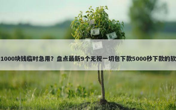 借1000块钱临时急用？盘点最新9个无视一切包下款5000秒下款的软件