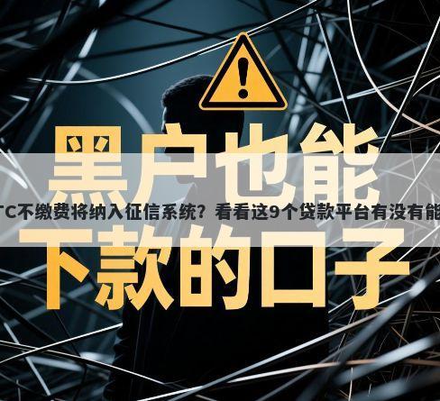 武汉ETC不缴费将纳入征信系统？看看这9个贷款平台有没有能下款的