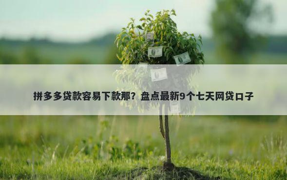 拼多多贷款容易下款那？盘点最新9个七天网贷口子