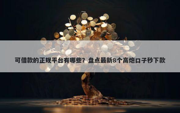 可借款的正规平台有哪些？盘点最新8个高炮口子秒下款