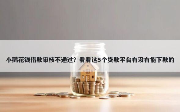 小鹅花钱借款审核不通过？看看这5个贷款平台有没有能下款的