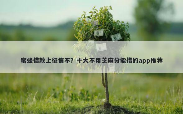 蜜蜂借款上征信不？十大不用芝麻分能借的app推荐