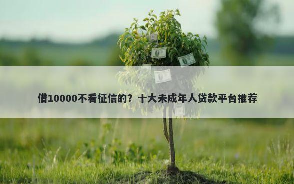 借10000不看征信的？十大未成年人贷款平台推荐