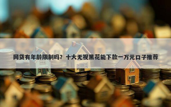 网贷有年龄限制吗?十大无视黑花能下款一万元口子推荐