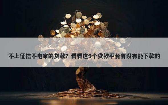 不上征信不电审的贷款？看看这9个贷款平台有没有能下款的