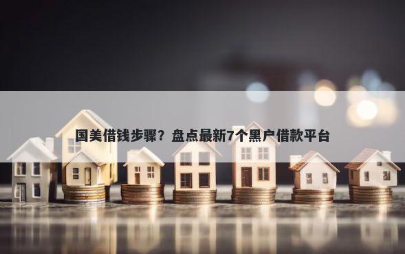 国美借钱步骤？盘点最新7个黑户借款平台