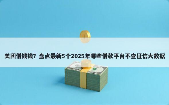 美团借钱钱？盘点最新5个2025年哪些借款平台不查征信大数据