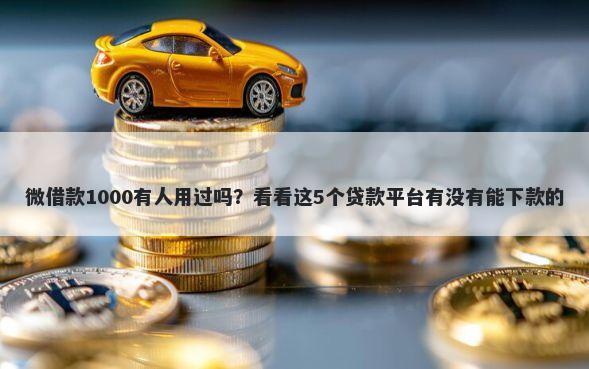 微借款1000有人用过吗？看看这5个贷款平台有没有能下款的
