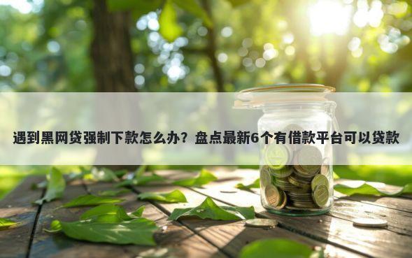 遇到黑网贷强制下款怎么办?盘点最新6个有借款平台可以贷款