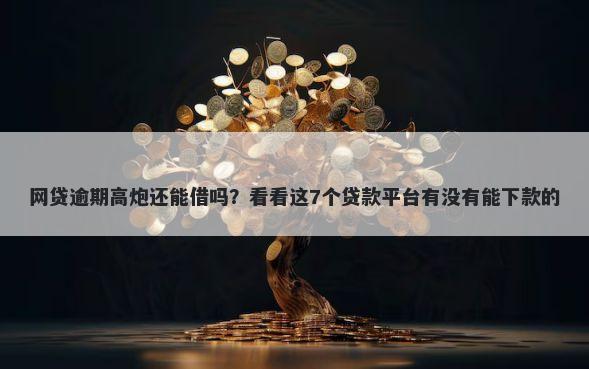 网贷逾期高炮还能借吗？看看这7个贷款平台有没有能下款的