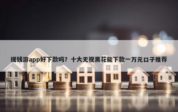 提钱游app好下款吗？十大无视黑花能下款一万元口子推荐