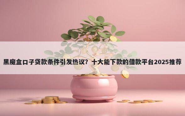 黑魔盒口子贷款条件引发热议？十大能下款的借款平台2025推荐