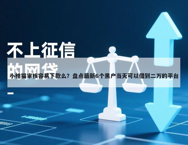 小桔猫审核容易下款么？盘点最新6个黑户当天可以借到二万的平台