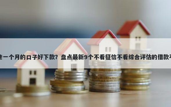 哪些一个月的口子好下款？盘点最新9个不看征信不看综合评估的借款平台