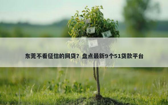 东莞不看征信的网贷？盘点最新9个51贷款平台