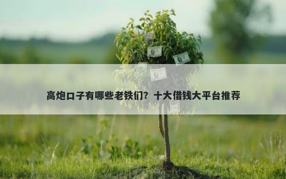 高炮口子有哪些老铁们？十大借钱大平台推荐