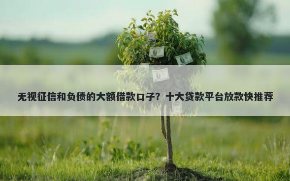 无视征信和负债的大额借款口子？十大贷款平台放款快推荐
