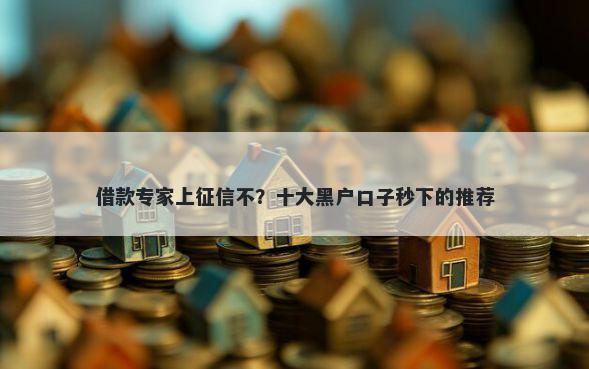 借款专家上征信不？十大黑户口子秒下的推荐