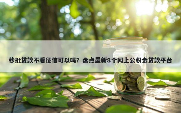 秒批贷款不看征信可以吗？盘点最新8个网上公积金贷款平台