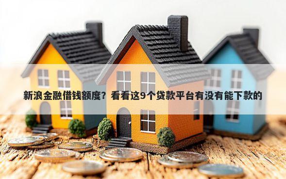 新浪金融借钱额度？看看这9个贷款平台有没有能下款的