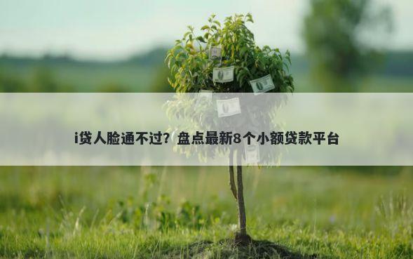 i贷人脸通不过？盘点最新8个小额贷款平台