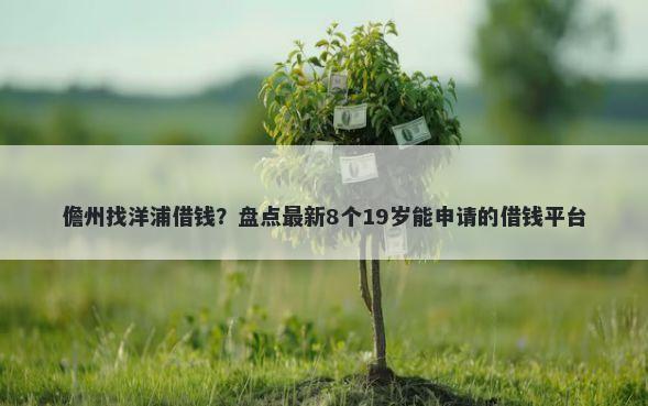儋州找洋浦借钱？盘点最新8个19岁能申请的借钱平台