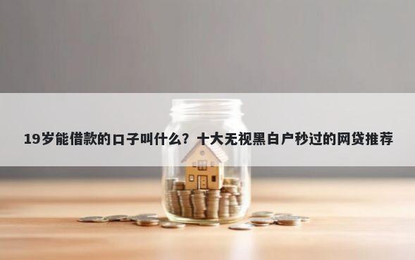 19岁能借款的口子叫什么？十大无视黑白户秒过的网贷推荐