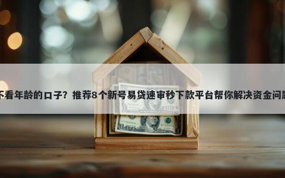 不看年龄的口子？推荐8个新号易贷速审秒下款平台帮你解决资金问题