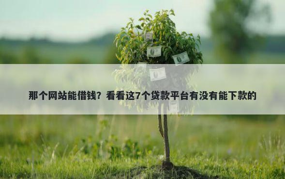 那个网站能借钱？看看这7个贷款平台有没有能下款的