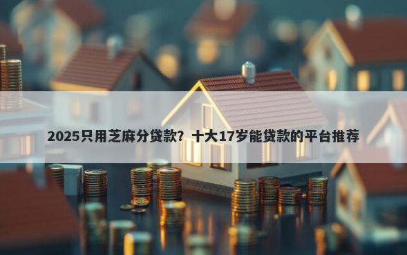 2025只用芝麻分贷款？十大17岁能贷款的平台推荐