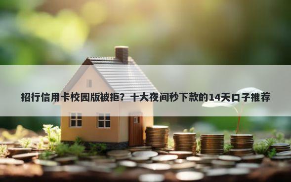 招行信用卡校园版被拒？十大夜间秒下款的14天口子推荐