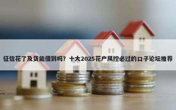 征信花了及贷能借到吗？十大2025花户风控必过的口子论坛推荐