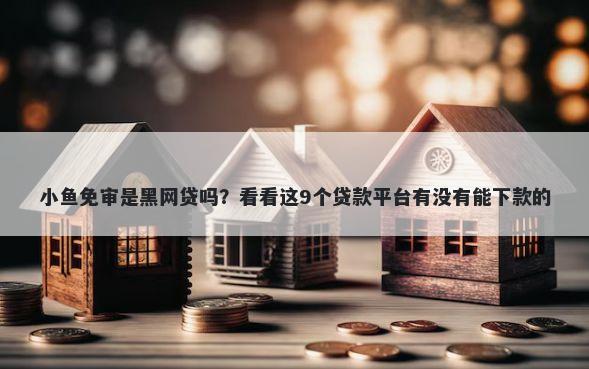 小鱼免审是黑网贷吗？看看这9个贷款平台有没有能下款的
