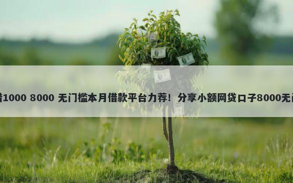 借钱能借1000 8000 无门槛本月借款平台力荐！分享小额网贷口子8000无门槛借款