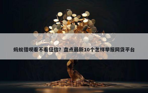 蚂蚁借呗看不看征信？盘点最新10个怎样举报网贷平台