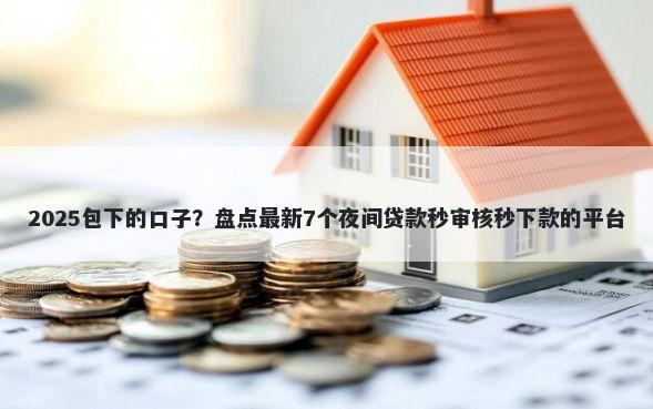 2025包下的口子？盘点最新7个夜间贷款秒审核秒下款的平台