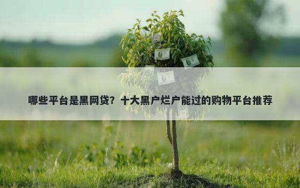 哪些平台是黑网贷？十大黑户烂户能过的购物平台推荐