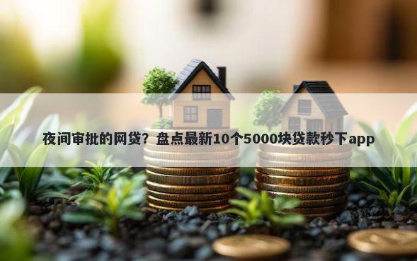 夜间审批的网贷？盘点最新10个5000块贷款秒下app