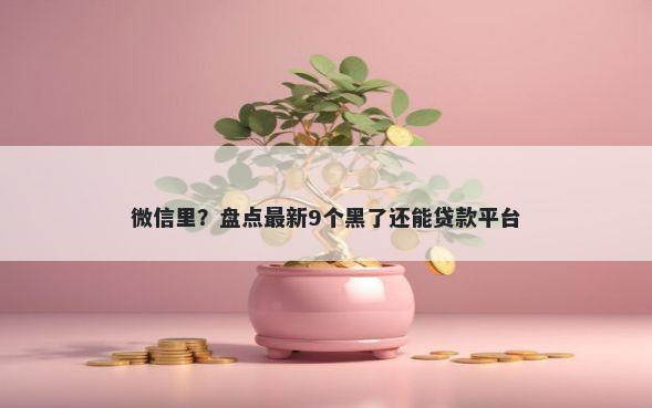 微信里？盘点最新9个黑了还能贷款平台