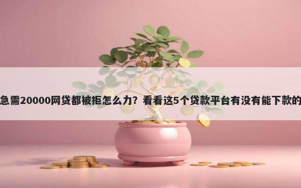 急需20000网贷都被拒怎么力？看看这5个贷款平台有没有能下款的